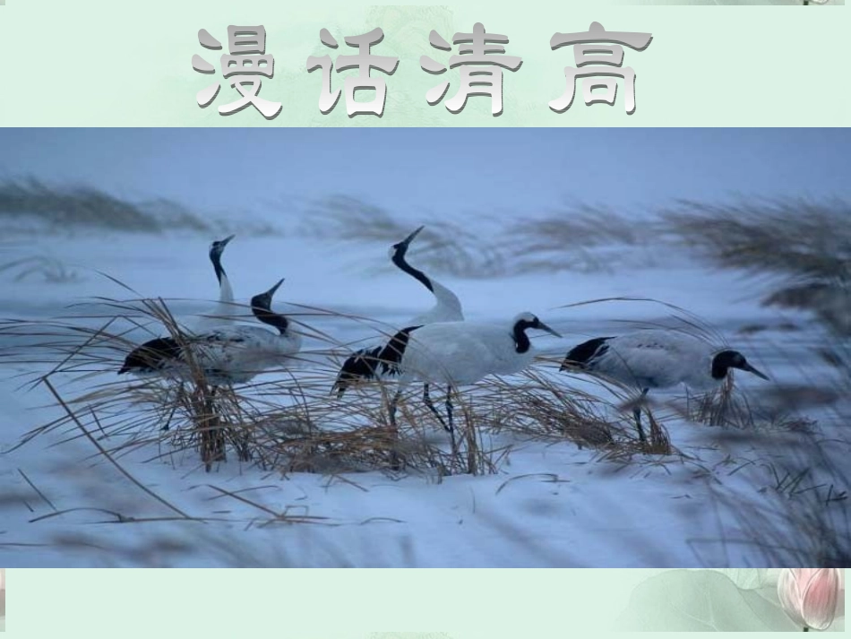 陕西省汉中市陕飞二中高三语文复习资料 漫话清高课件 新人教版 课件_第1页