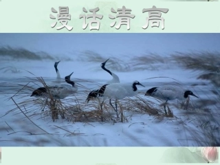 陕西省汉中市陕飞二中高三语文复习资料 漫话清高课件 新人教版 课件