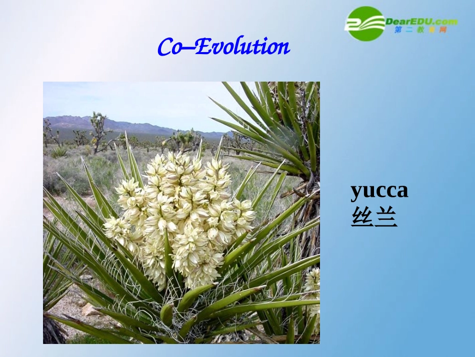 高中英语 Unit4Exploring plants-Reading task课件 新人教选修9 课件_第2页