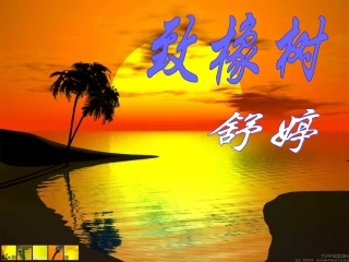 高中语文13致橡树课件2北师大版必修2 课件