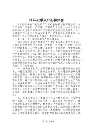 XX年双学双严心得体会