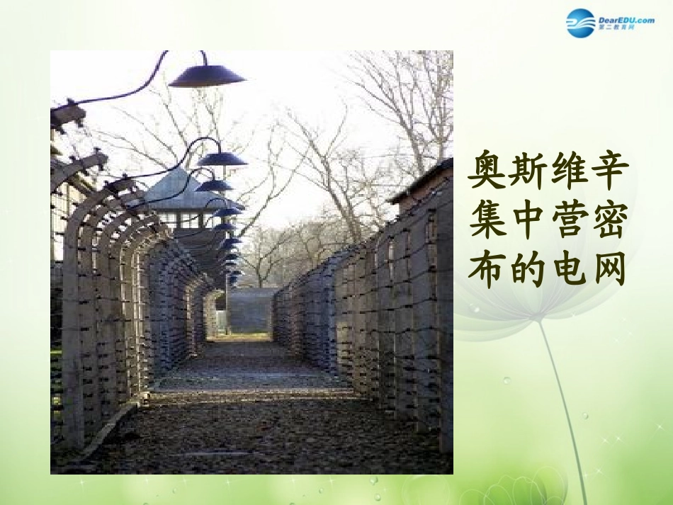 高中语文 奥斯维辛没有什么新闻课件 新人教版必修1 课件_第3页