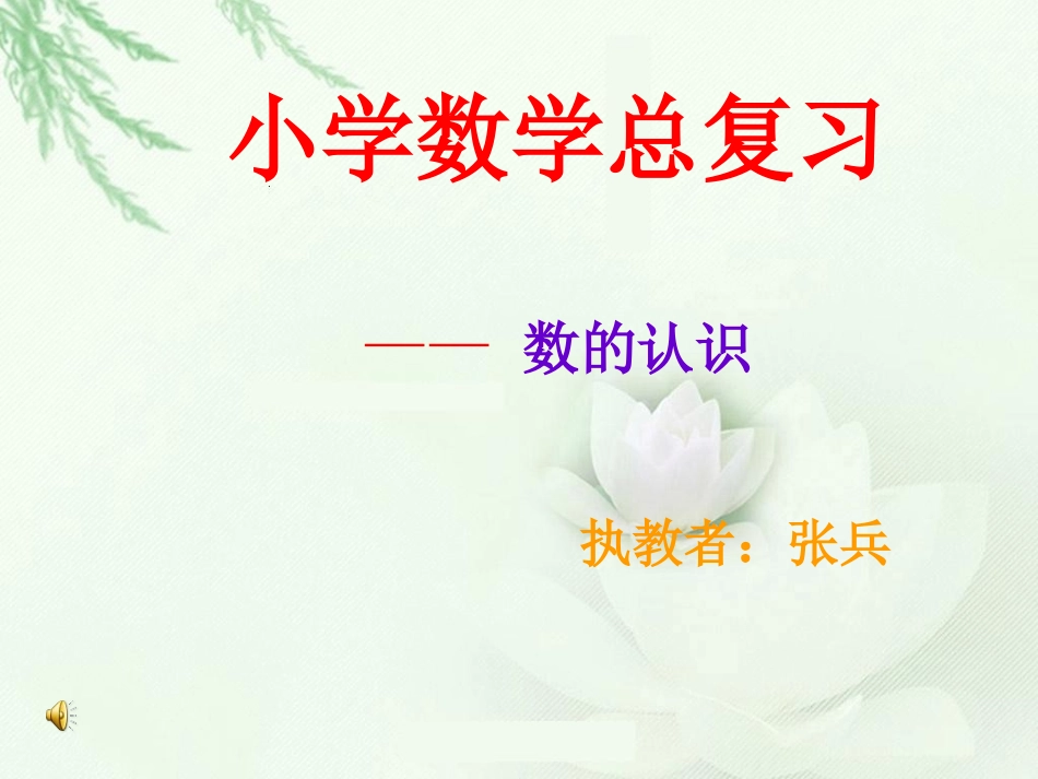 小学数学总复习_第1页