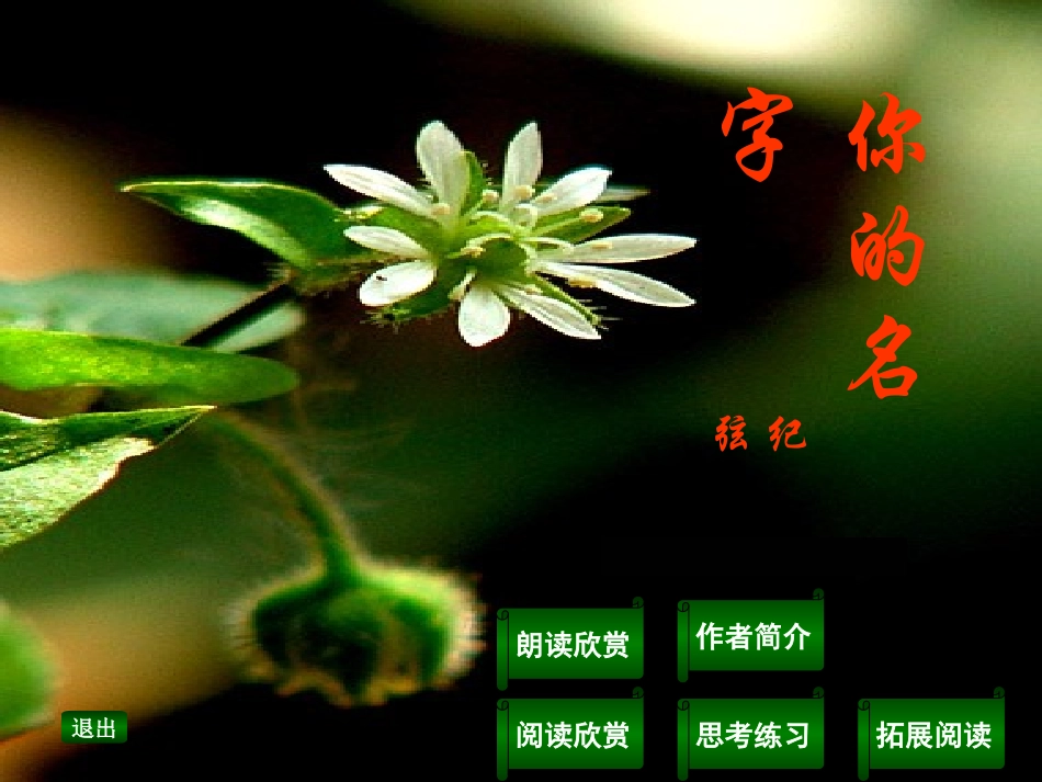 高中语文 (你的名字)课件 新人教版选修(中国现代诗歌散文欣赏) 课件_第1页