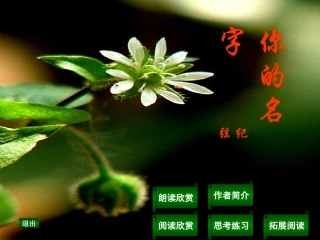 高中语文 (你的名字)课件 新人教版选修(中国现代诗歌散文欣赏) 课件