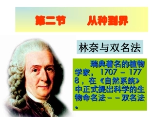 第二节  从种到界 八年级生物上第一章根据生物的特性进行分类第二节从种到界课件人教版 八年级生物上第一章根据生物的特性进行分类第二节从种到界课件人教版