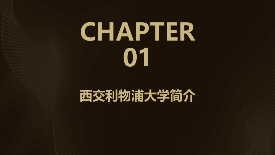 西交利物浦大学就创业工作分享课件_第3页