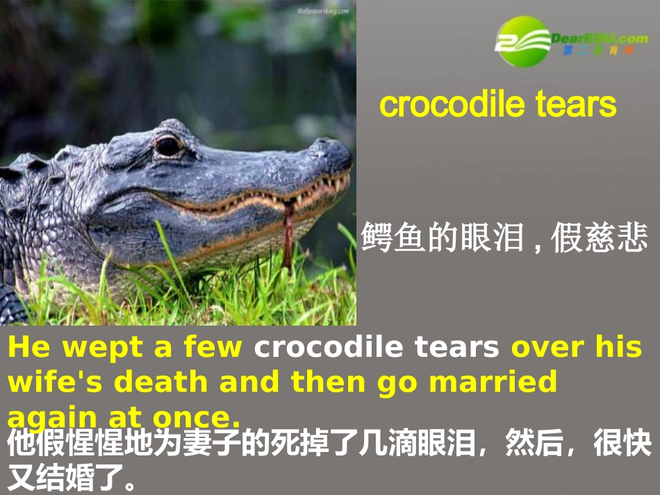 高中英语 unit 4 reading module9课件 牛津版选修9 课件_第3页