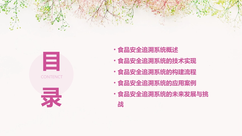 食品安全追溯系统的构建课件_第2页