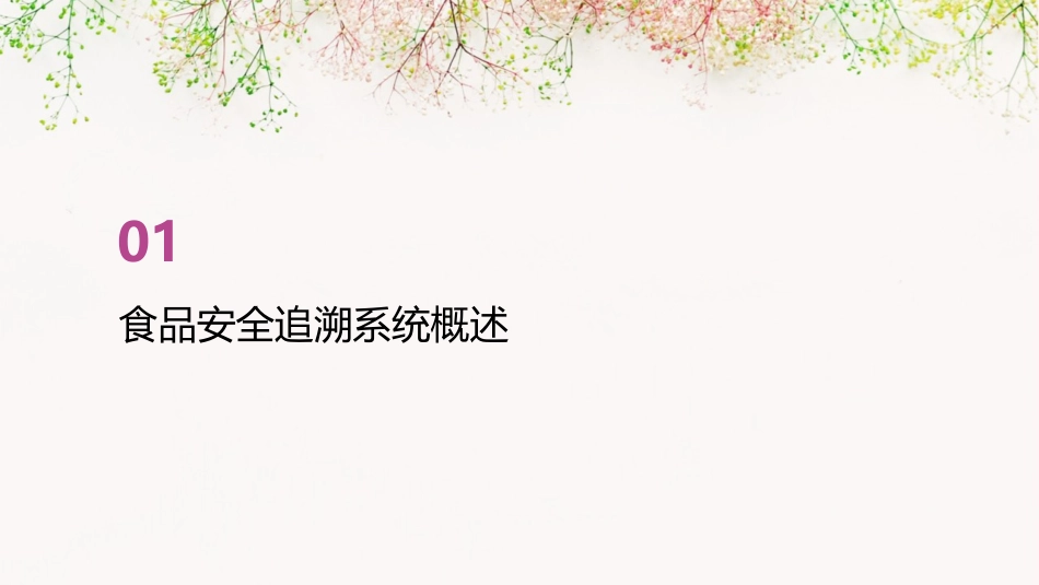 食品安全追溯系统的构建课件_第3页