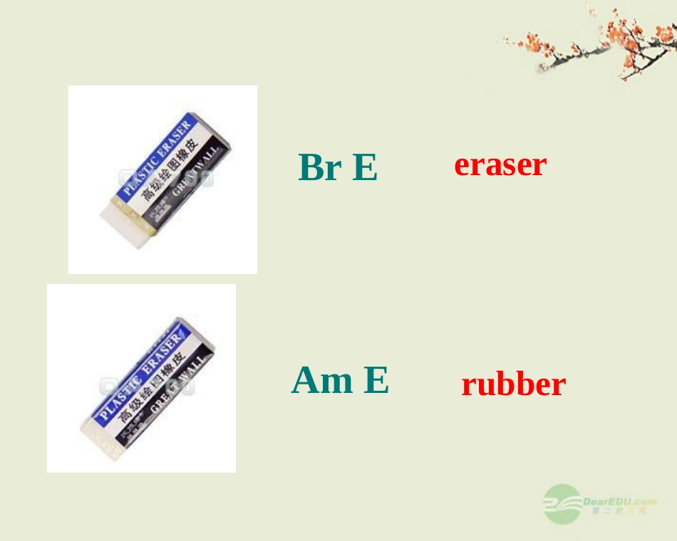 浙江省安吉县高一英语(Unit 2 English around the world)-Reading课件_第3页