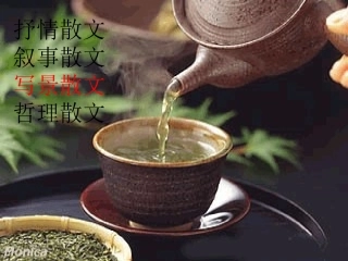 高中语文 荷塘月色8 沪教版第五册 课件