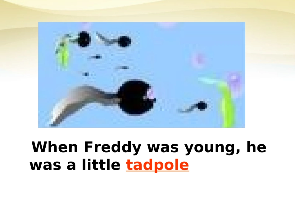 高中英语 unit 5 music using language课件 新人教版必修2 课件_第3页