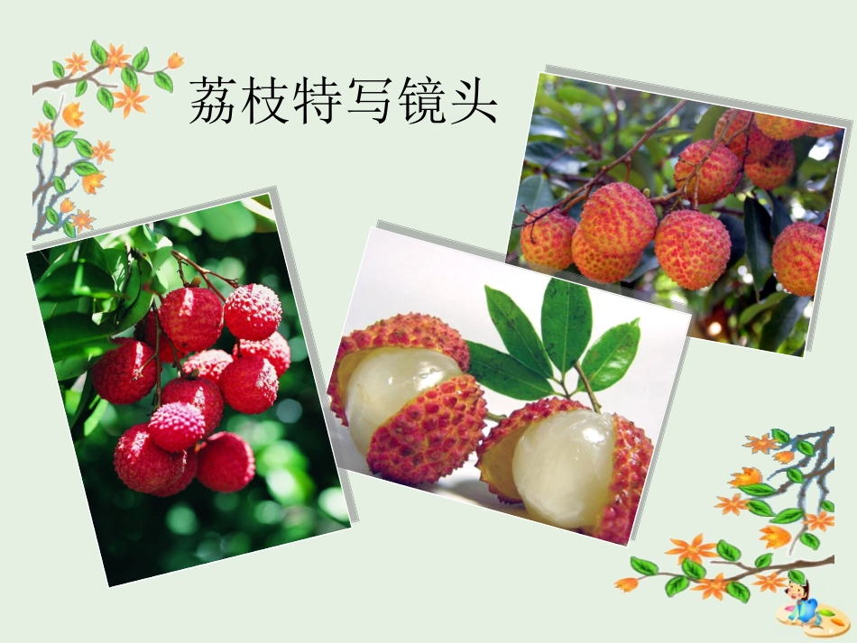 高中语文第一专题南州六月荔枝丹课件苏教版必修5 课件_第2页