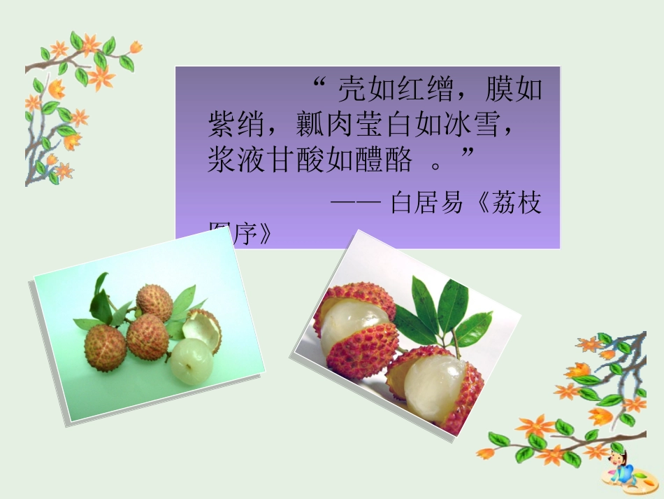 高中语文第一专题南州六月荔枝丹课件苏教版必修5 课件_第3页