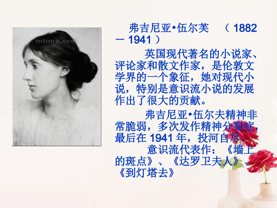 高中语文(墙上的斑点)课件2 新人教版选修 课件_第2页