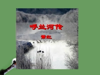 高中语文(呼兰河传)课件6 北京版选修2 课件