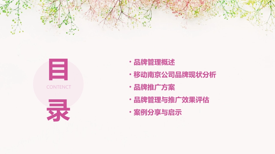 移动南京公司品牌管理及推广方案剖析课件_第2页