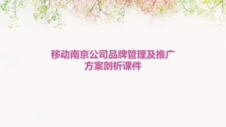 移动南京公司品牌管理及推广方案剖析课件