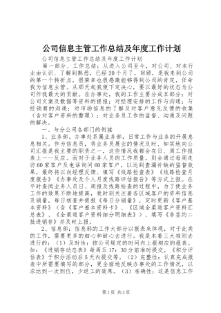 公司信息主管工作总结及年度工作计划 