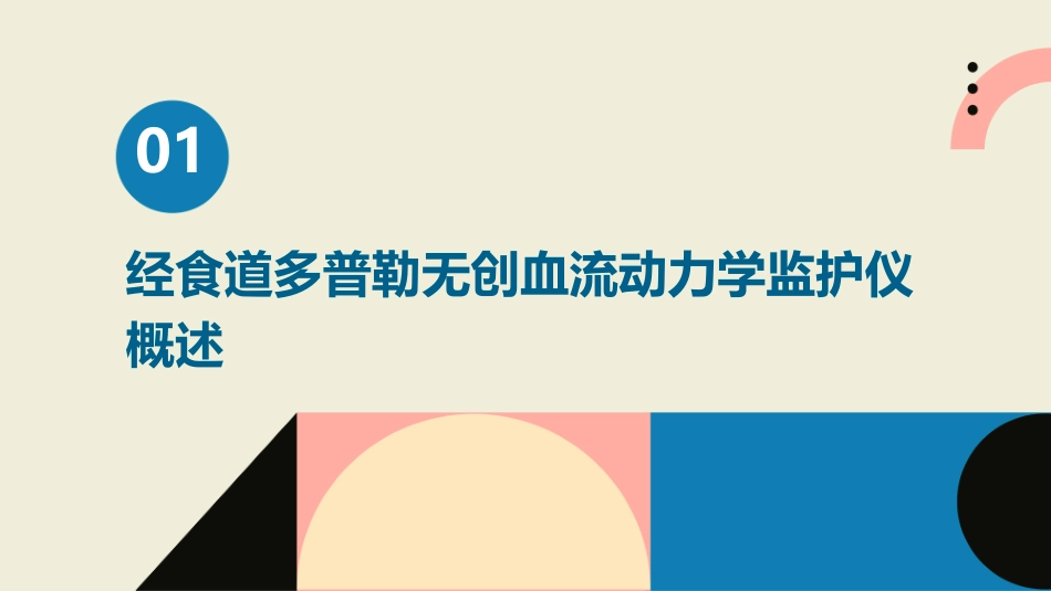 经食道多普勒无创血流动力学监护仪基本原理和结构课件_第3页