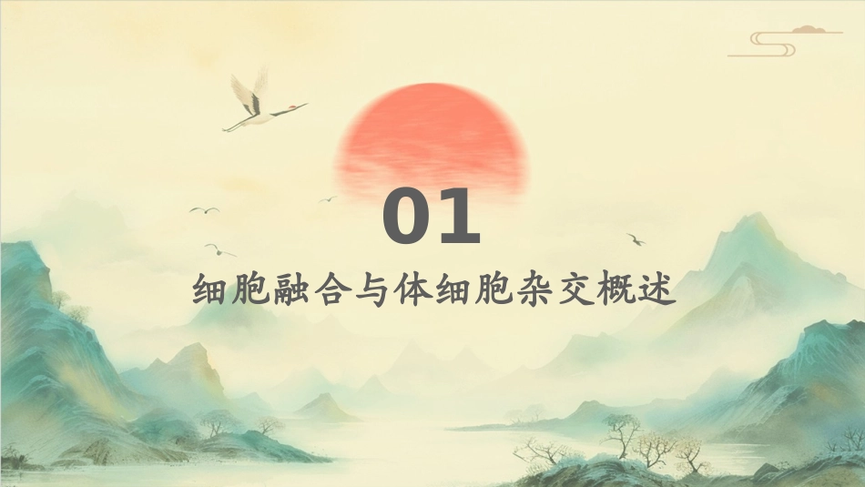 细胞融合与体细胞杂交课件_第3页