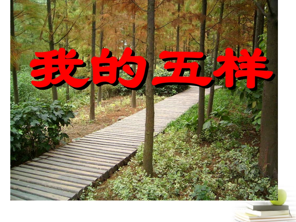 高中语文 132(我的五样)4同步课件 苏教版必修1 课件_第1页