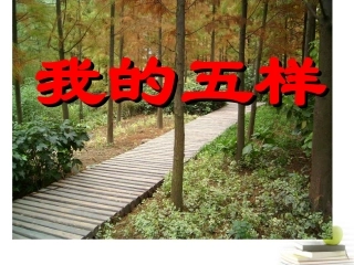 高中语文 132(我的五样)4同步课件 苏教版必修1 课件