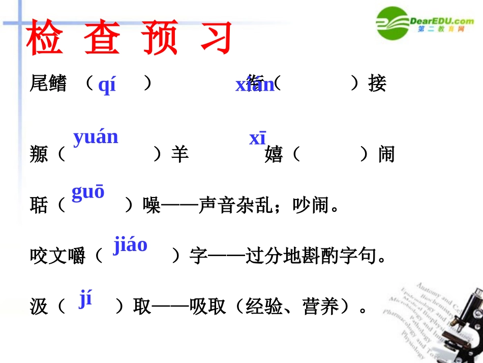高中语文(动物游戏之谜)课件 新人教版 课件_第3页