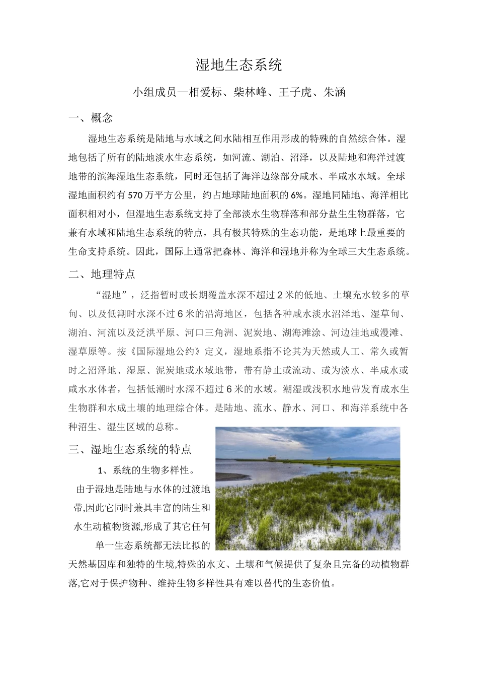 湿地生态系统_第1页