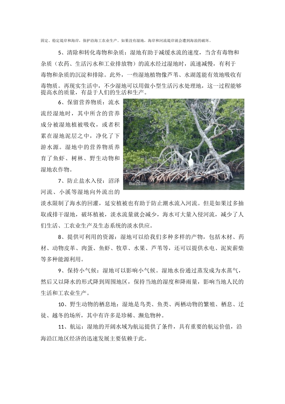 湿地生态系统_第3页