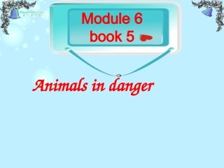 高中英语 Module 6 Writing -Saving the Red Ibis精品课件 外研版必修5 课件