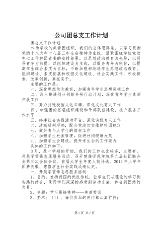 公司团总支工作计划 