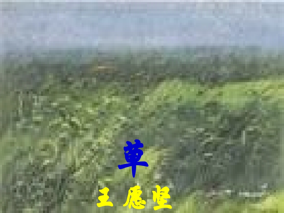 江苏地区八年级语文上册一单元(草)教学课件 苏教版 课件_第1页