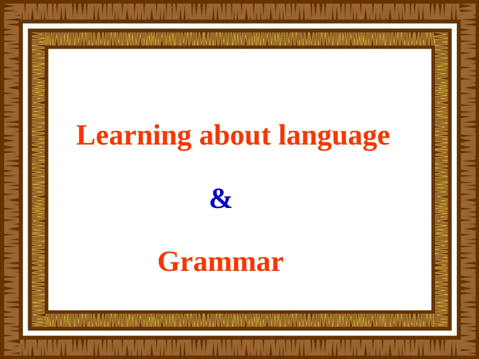 高中英语 Unit4 Learning about languages and Grammar课件 新人教版必修1 课件_第3页