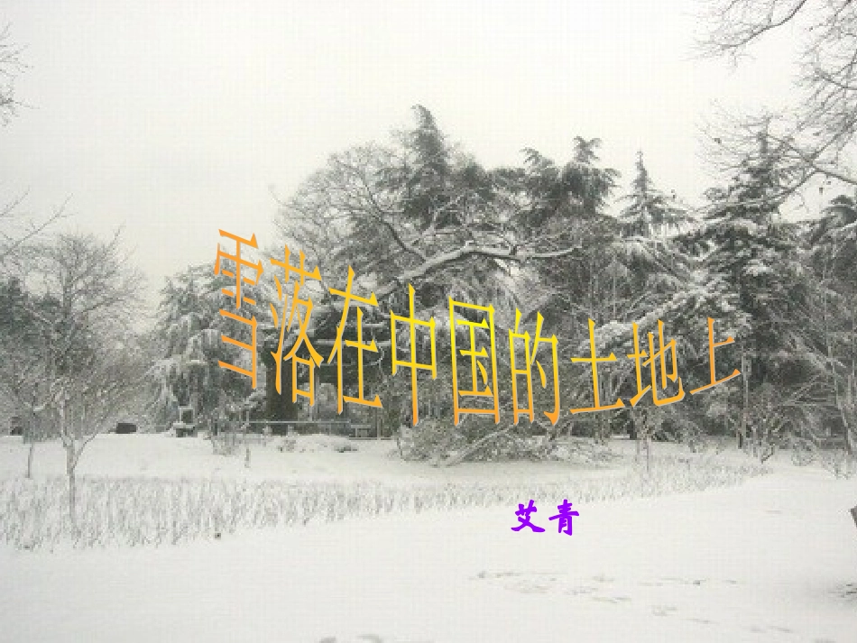 高中语文 雪落在中国的土地上课件 粤教版必修2 课件_第1页