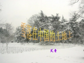 高中语文 雪落在中国的土地上课件 粤教版必修2 课件