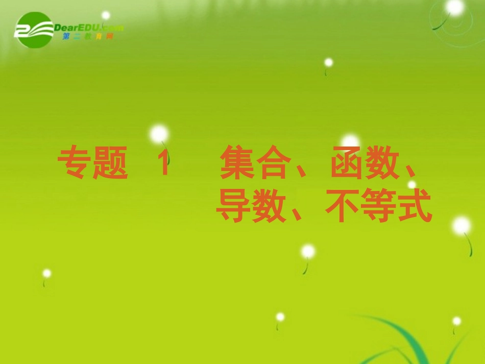 高考数学专题1：集合、函数、导数、不等式 理 大纲人教版 课件_第2页
