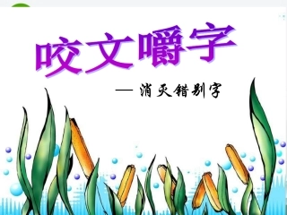 高考语文 咬文嚼字-消灭错别字复习课件 新人教版 课件