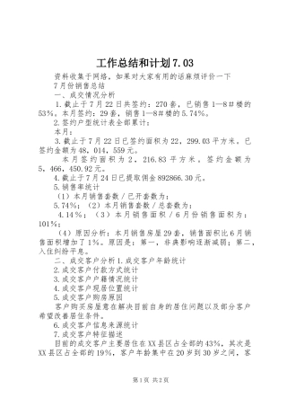 工作总结和计划7.03 