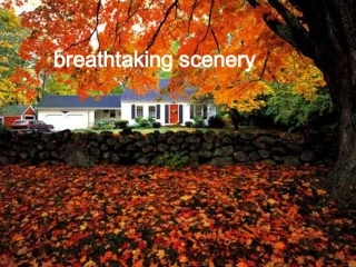 高中英语 module3 unit5 a trip on the true North 课件 新人教版必修3 课件