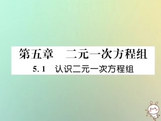 秋八年级数学上册 第5章 二元一次方程组 5.1 认识二元一次方程组作业课件 (新版)北师大版 课件