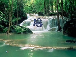 高中英语 Module 6(Animals in Danger)课件-Reading 外研版必修5 课件