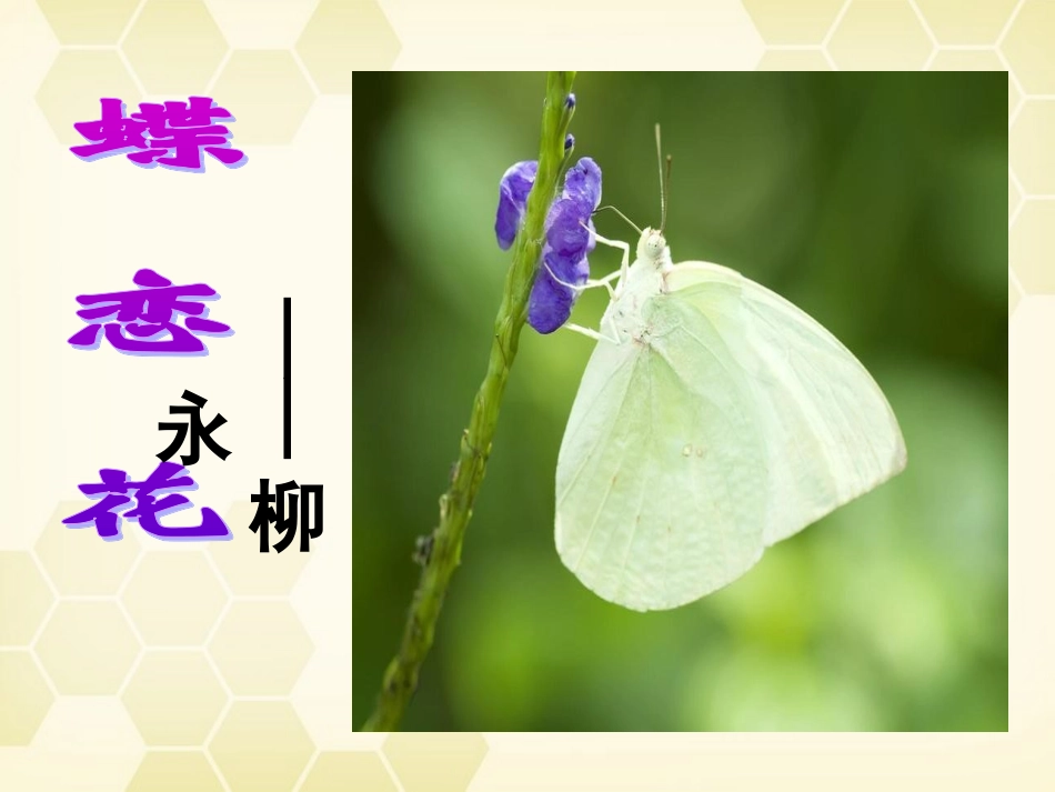 高中语文(蝶恋花(伫倚危楼风细细)课件2 粤教版选修(唐诗宋词元散曲) 课件_第3页