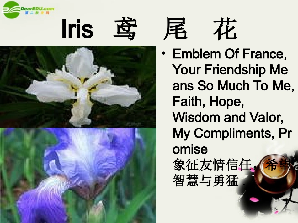 高中英语 教学素材花语(PPT) 素材_第2页