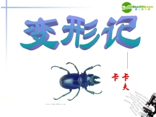 高中语文(变形记)课件3 沪教版第二册) 课件