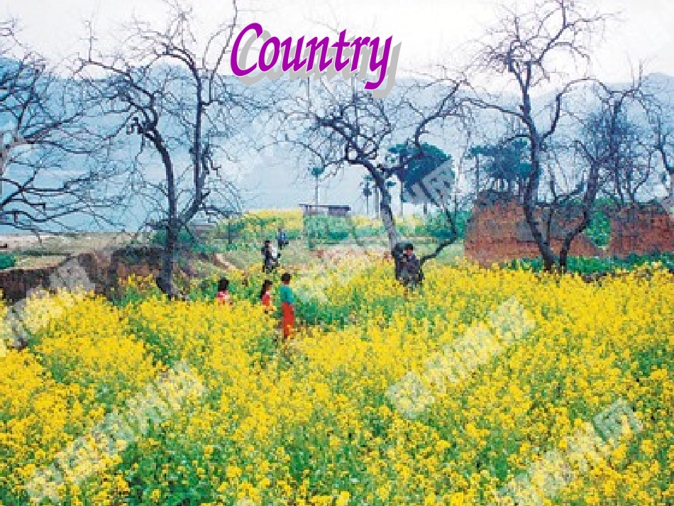 高中英语 Unit1(lifestyles)Lesson4 City And Country课件4 北师大版必修1 课件_第3页