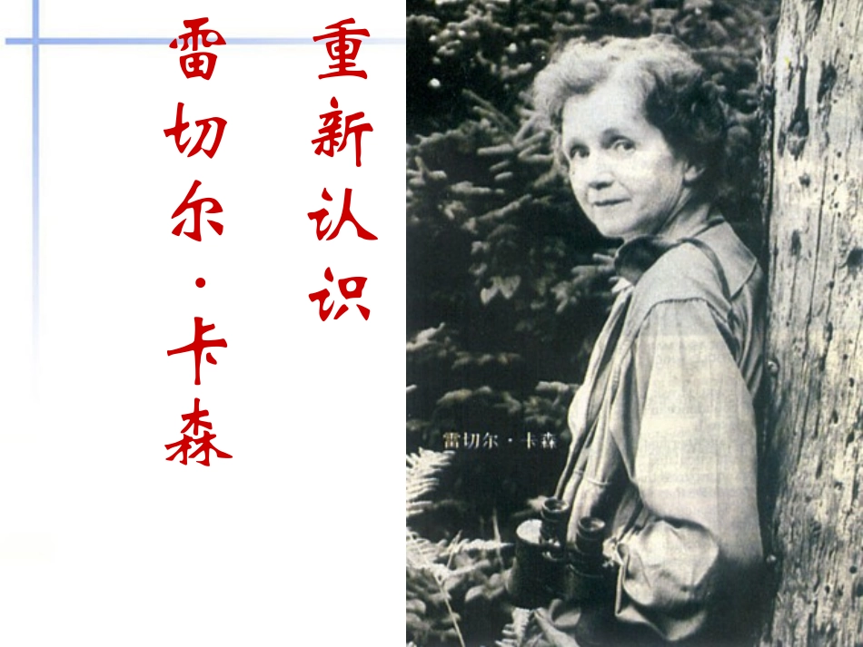 高中语文(寂静的春天)课件 粤教版必修3 课件_第3页