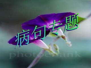 高考语文 语病句专题课件 新人教版 课件