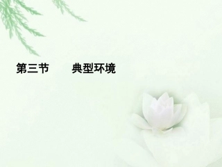 高中语文二轮复习 143 典型环境课件(新课标) 课件